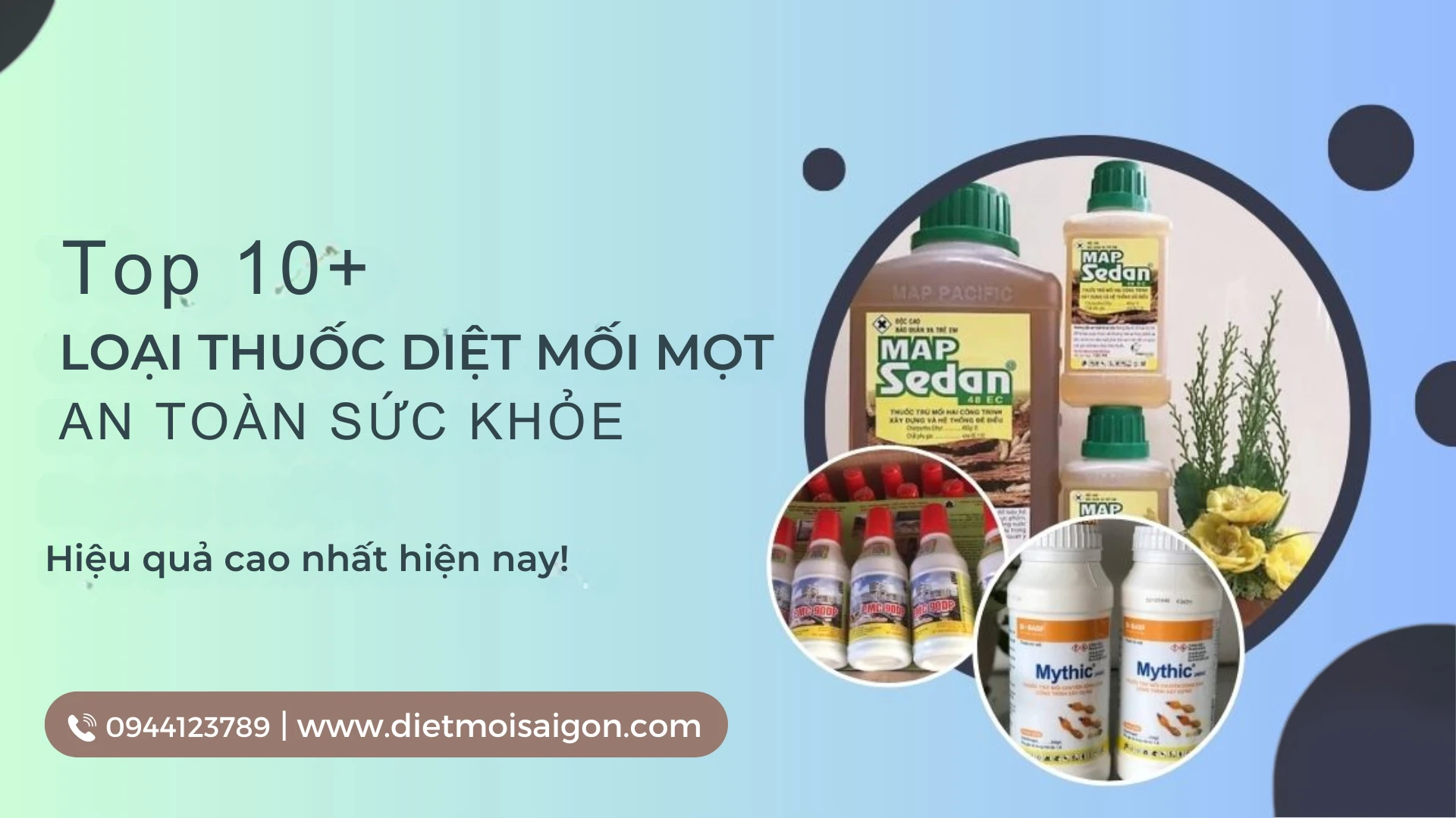 Thuốc diệt mối tận gốc an toàn sức khỏe