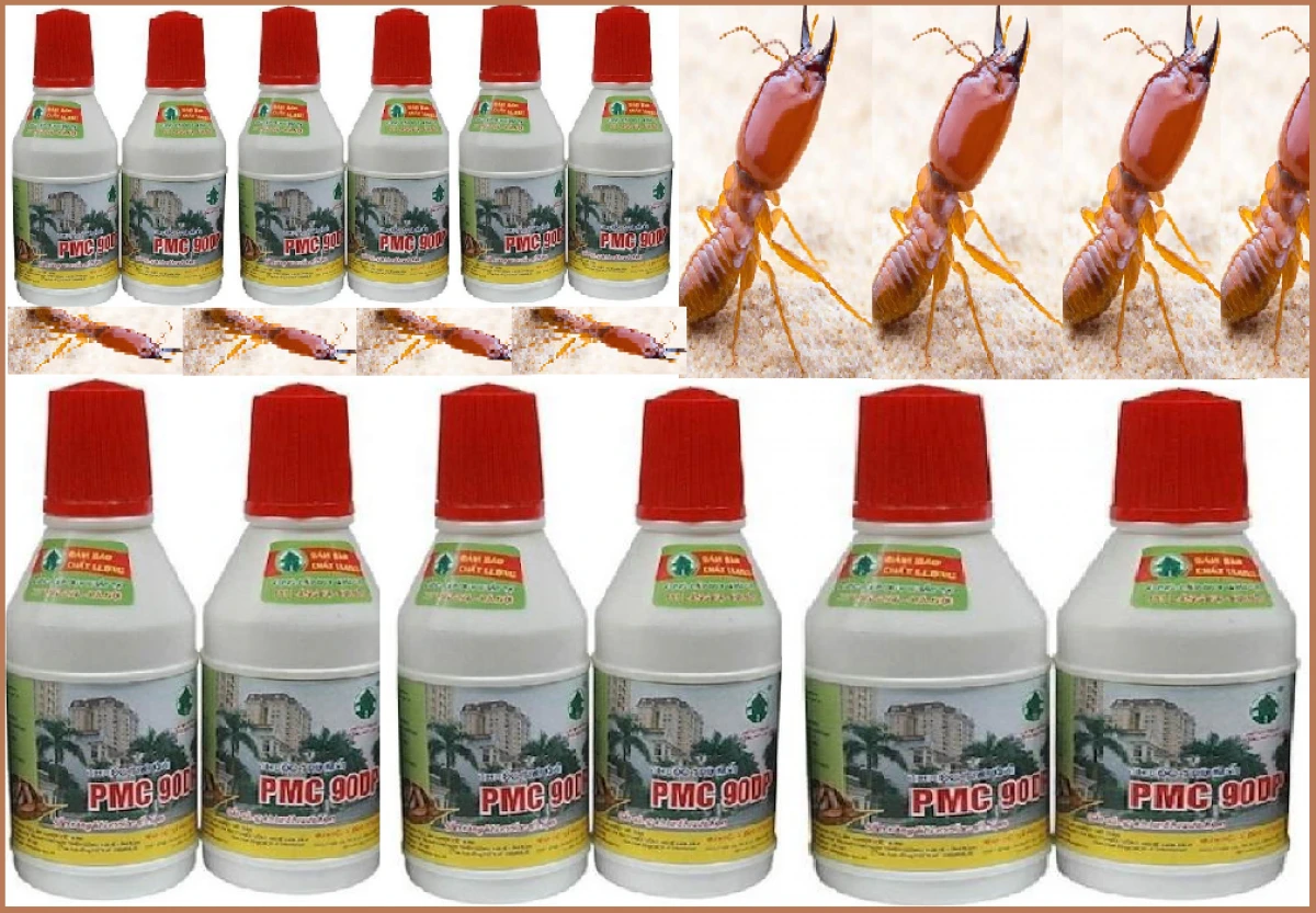 Thuốc diệt mối tận gốc