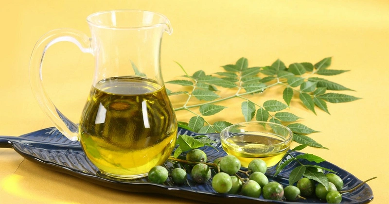 Cách diệt mối tận gốc tại nhà