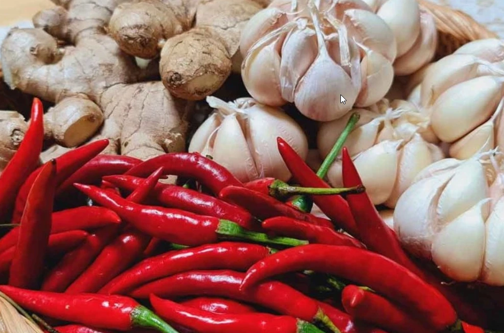 Cách diệt mối tận gốc tại nhà