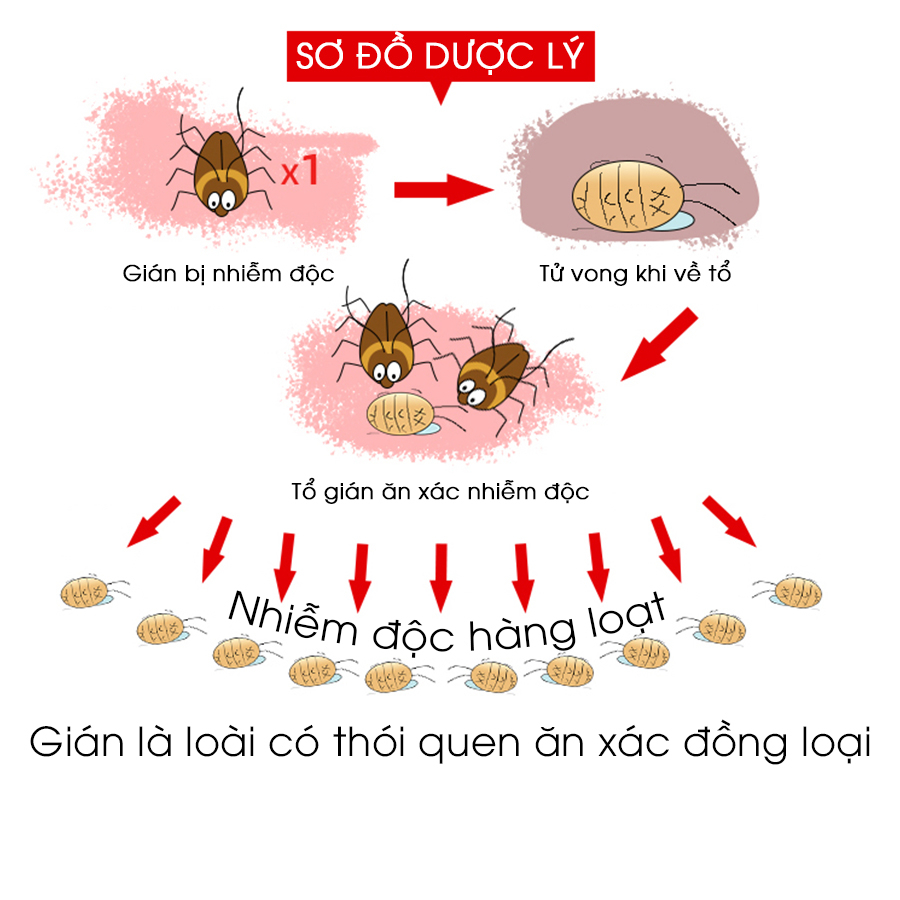Viên diệt gián sinh học